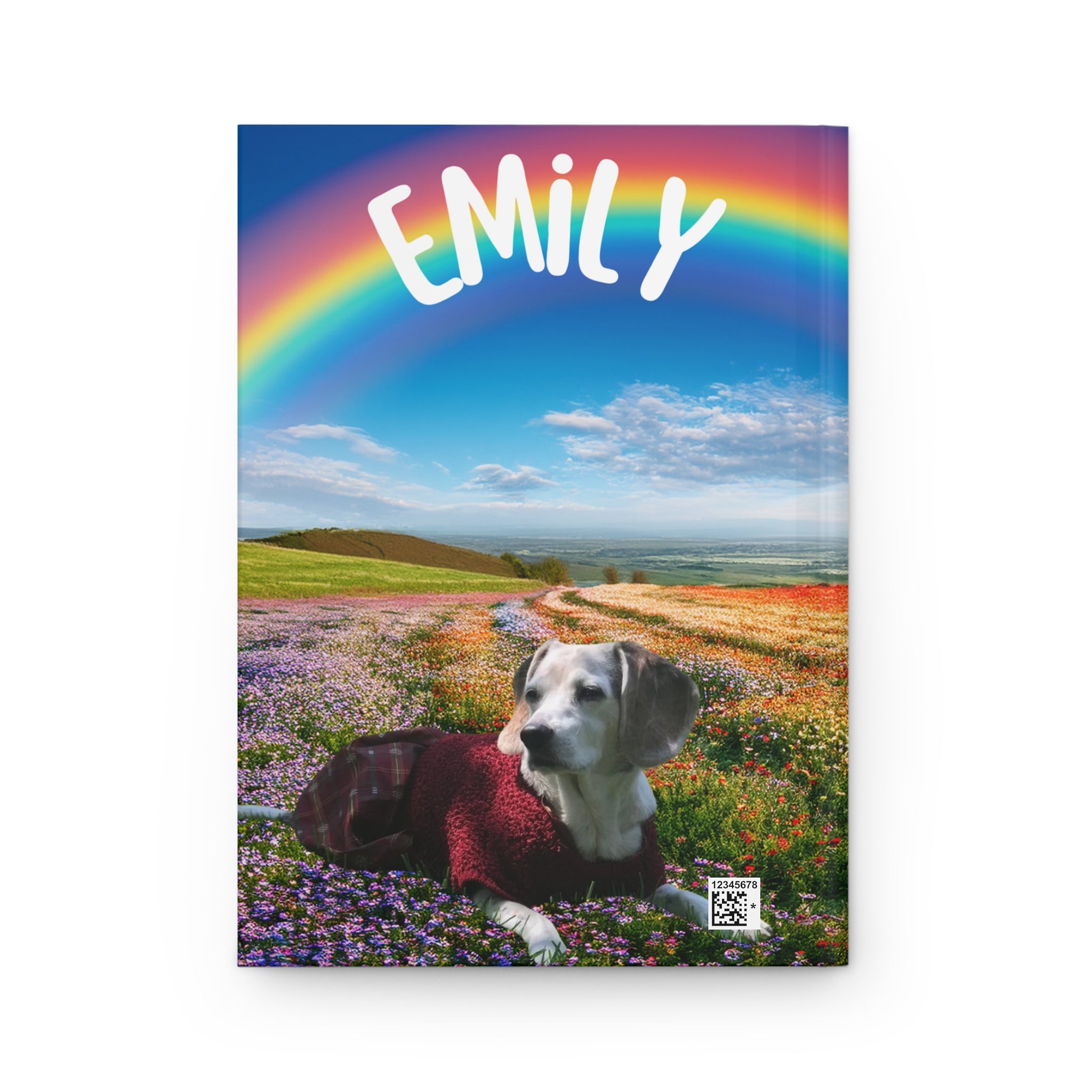 Special Edition Lollipop & Emily Notebook