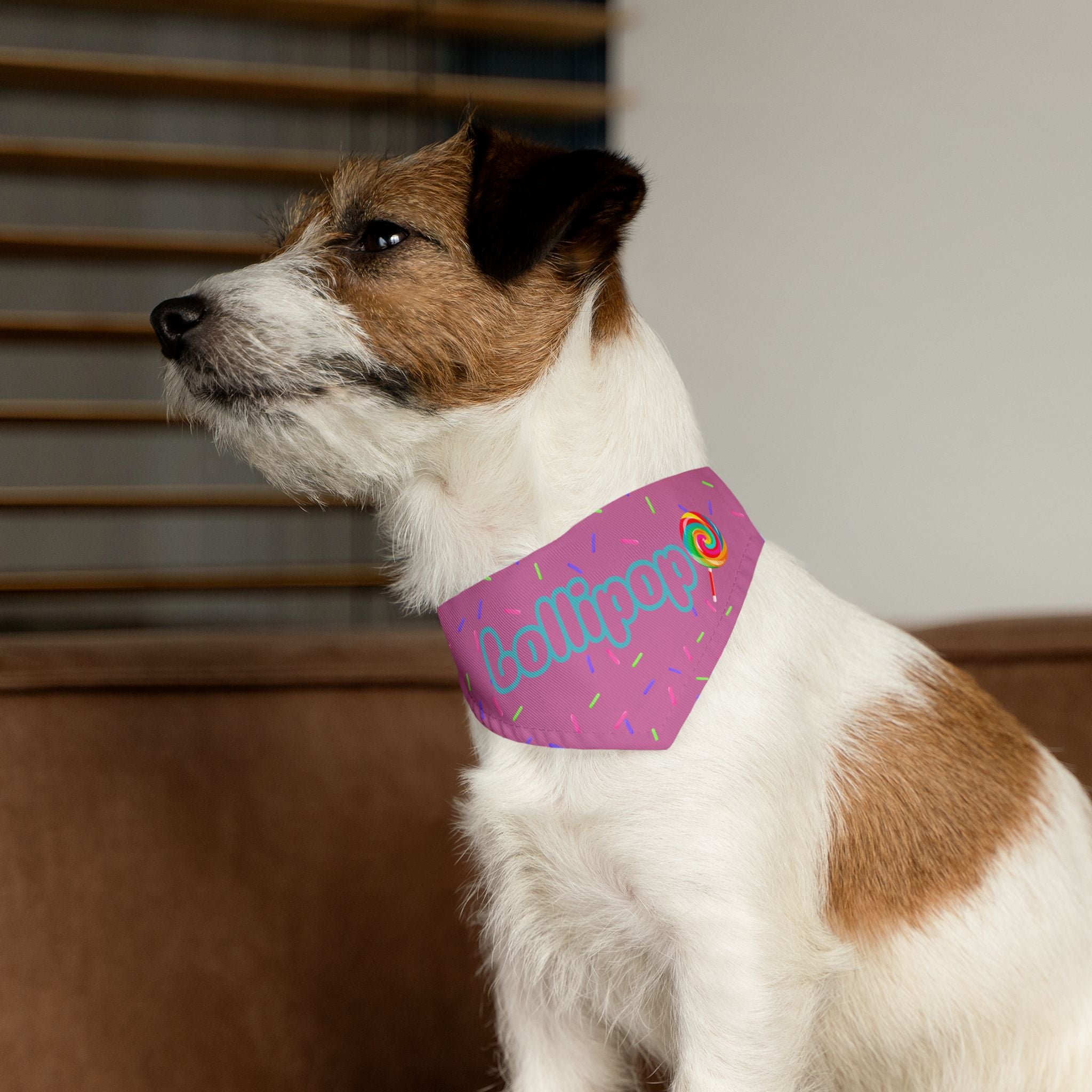 "Lollipop" Pink Sprinkles Dog Collar Bandana