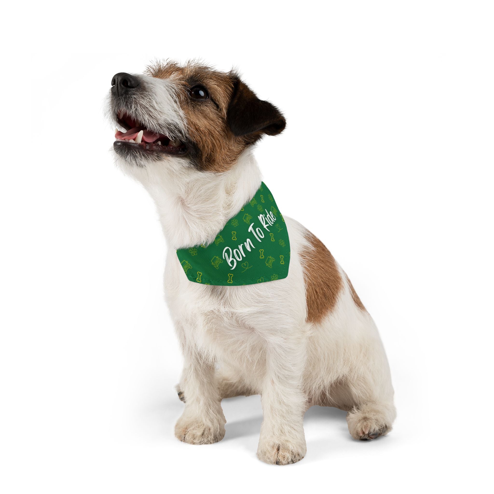 Small dog wearing a green bandana with text on a white background