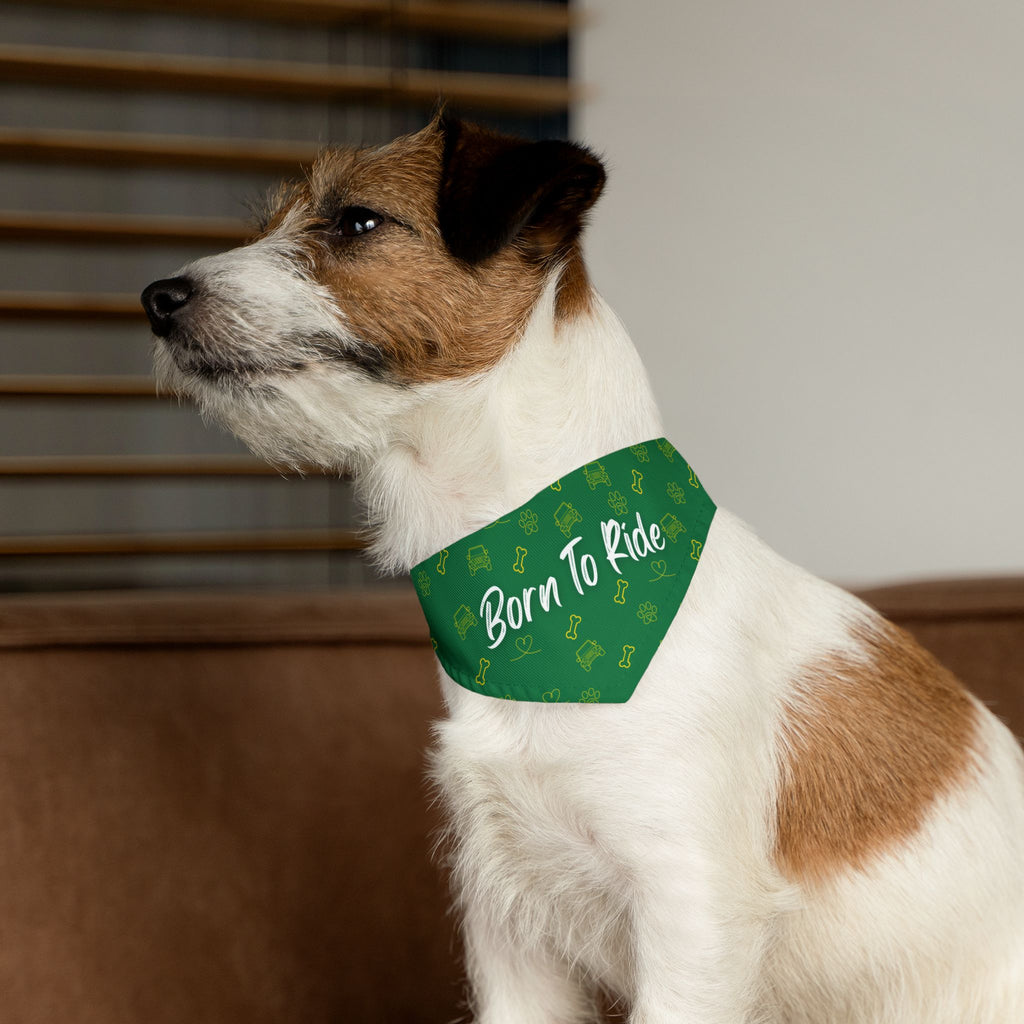 Dog wearing a green bandana with 'Born To Ride' text and dog bone pattern.