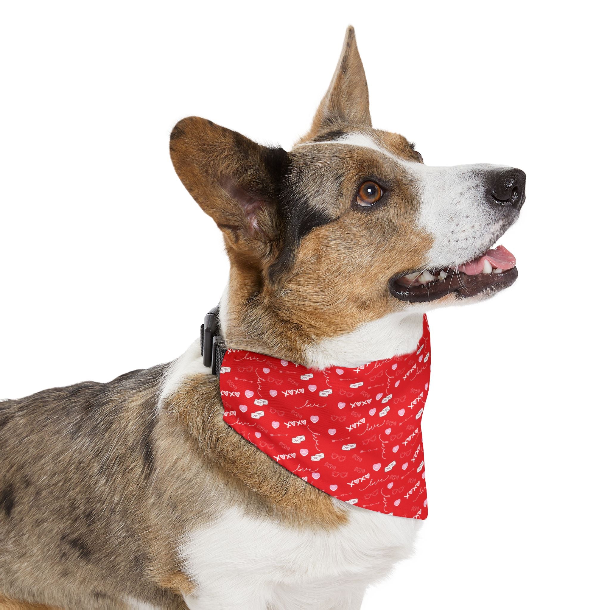 Dog wearing a red bandana with white patterns on a white background