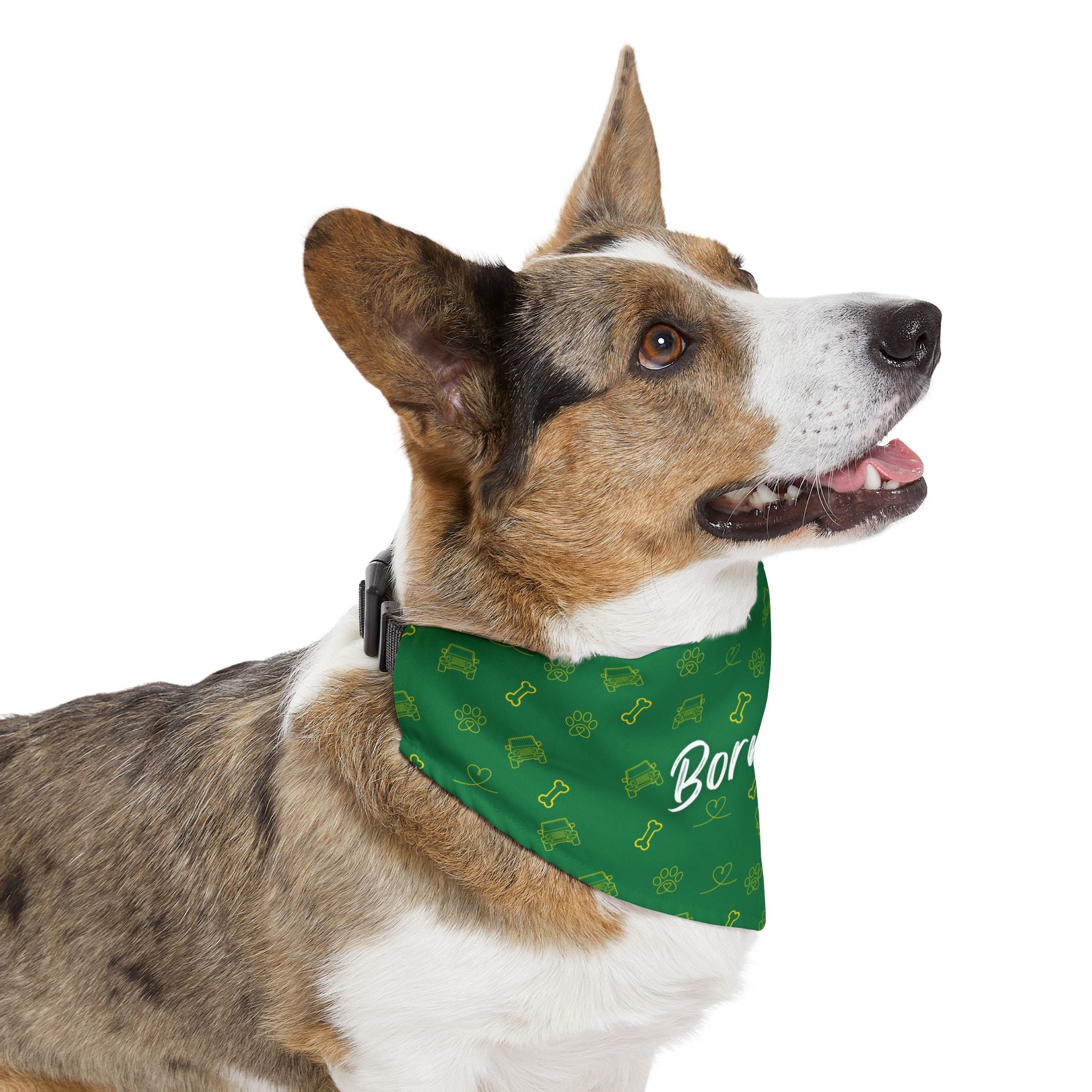 Dog wearing a green bandana with bone patterns and 'Bow' text on a white background
