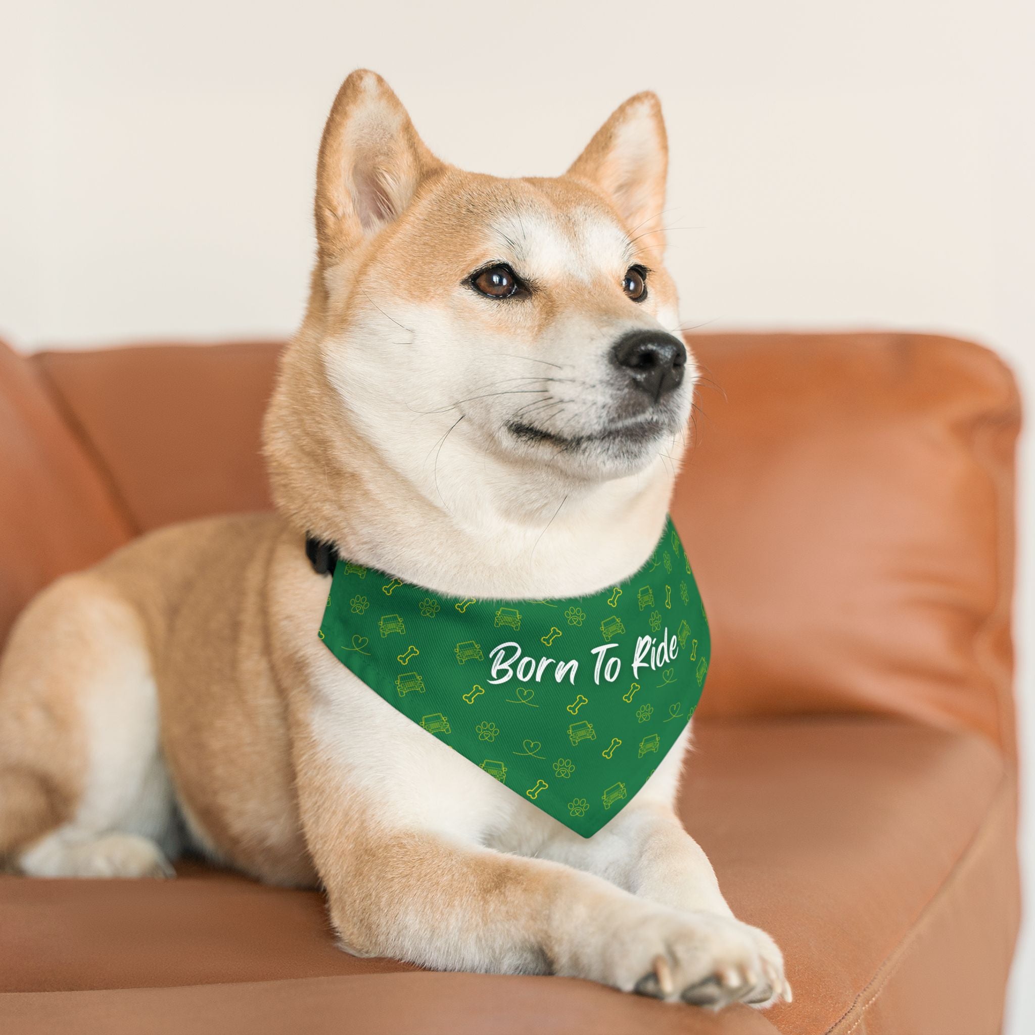 Born To Ride Green Bay Packers Pet Bandana Collar | Jeeps, Bones & Paw Prints