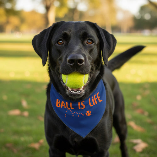 Blue bandana with 'BALL IS LIFE' text and sports ball graphics on a white background