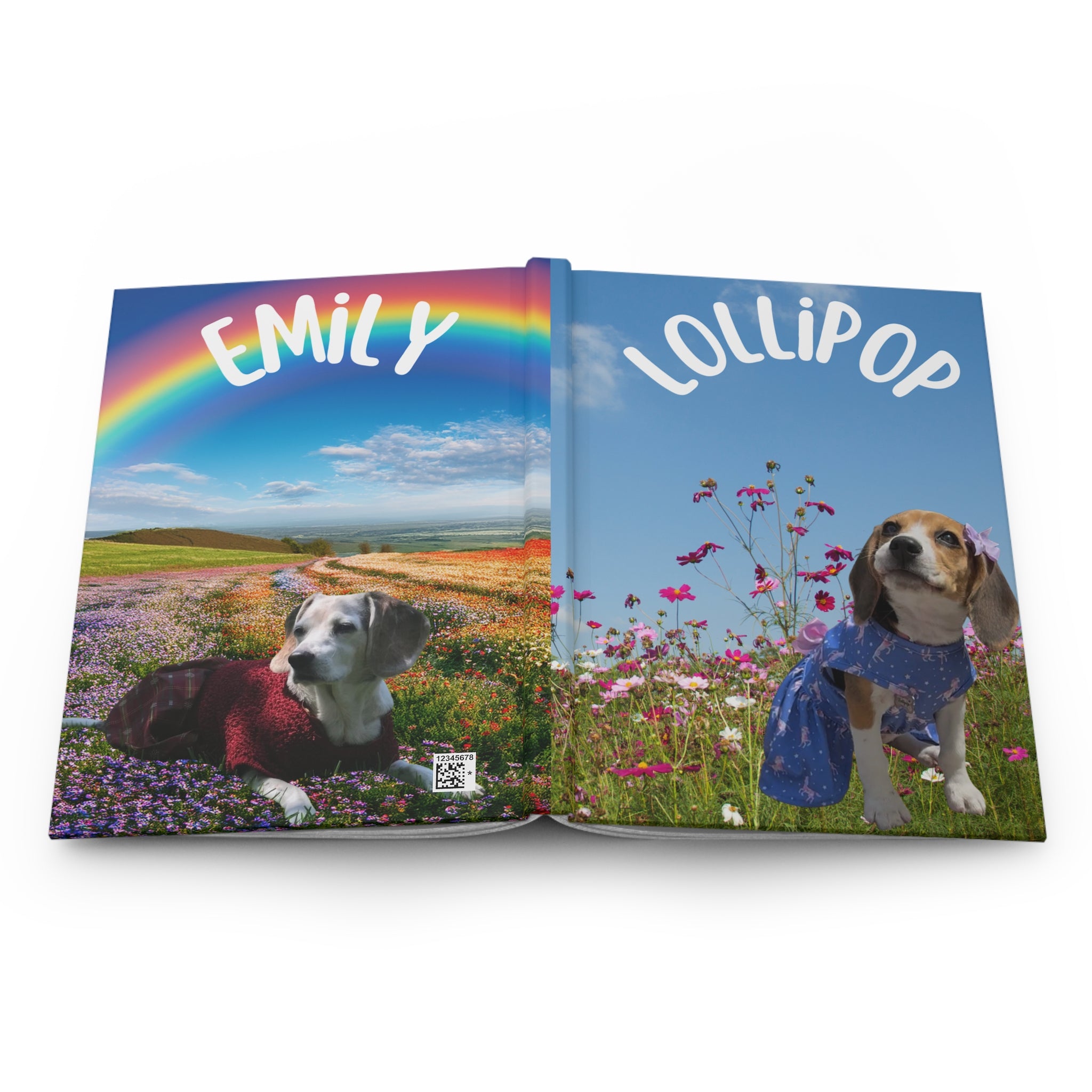 Special Edition Lollipop & Emily Notebook