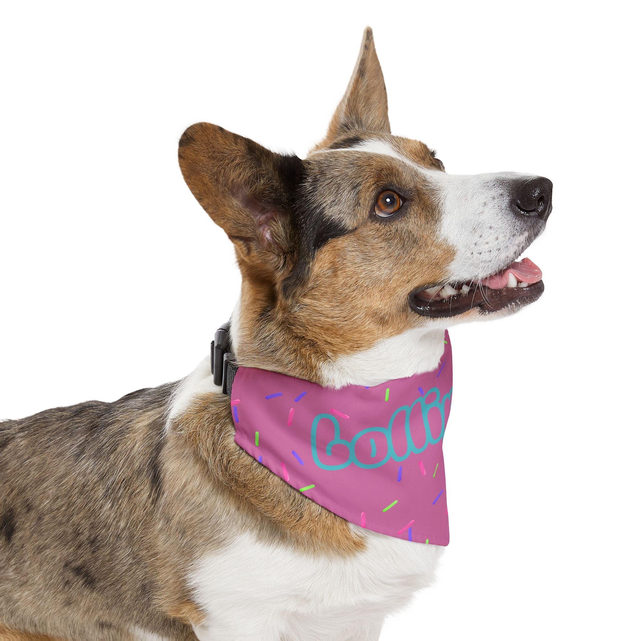 "Lollipop" Pink Sprinkles Dog Collar Bandana