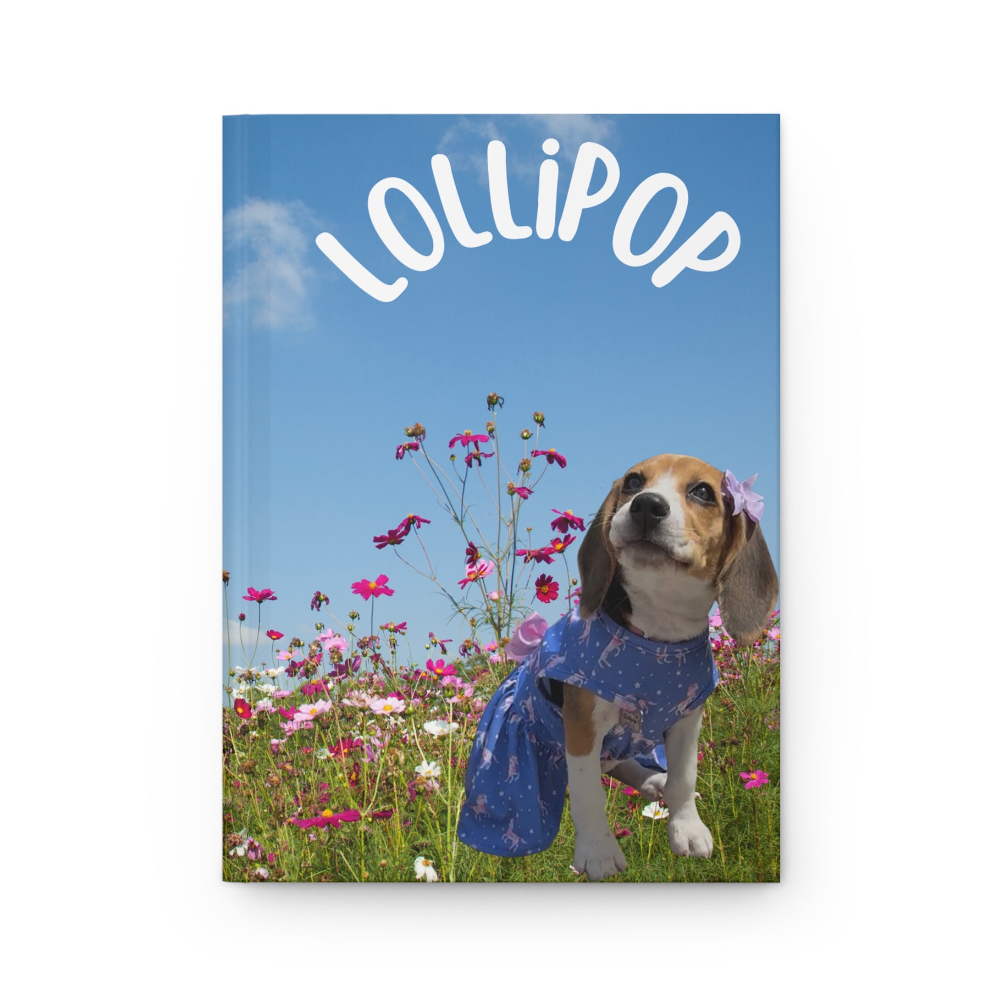 Special Edition Lollipop & Emily Notebook