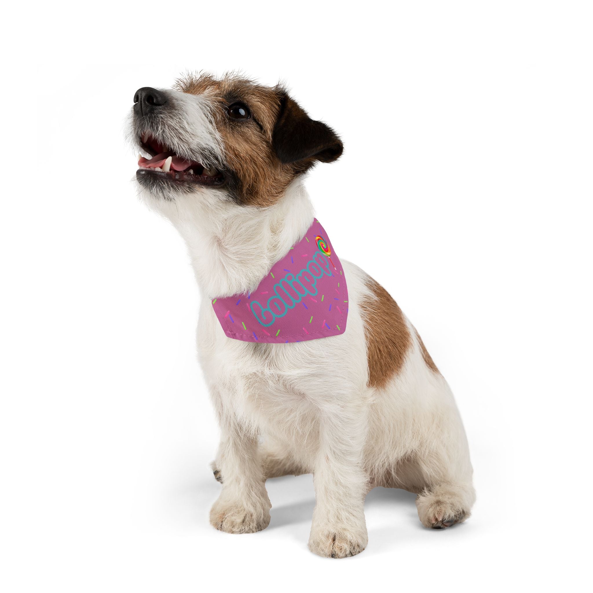 "Lollipop" Pink Sprinkles Dog Collar Bandana