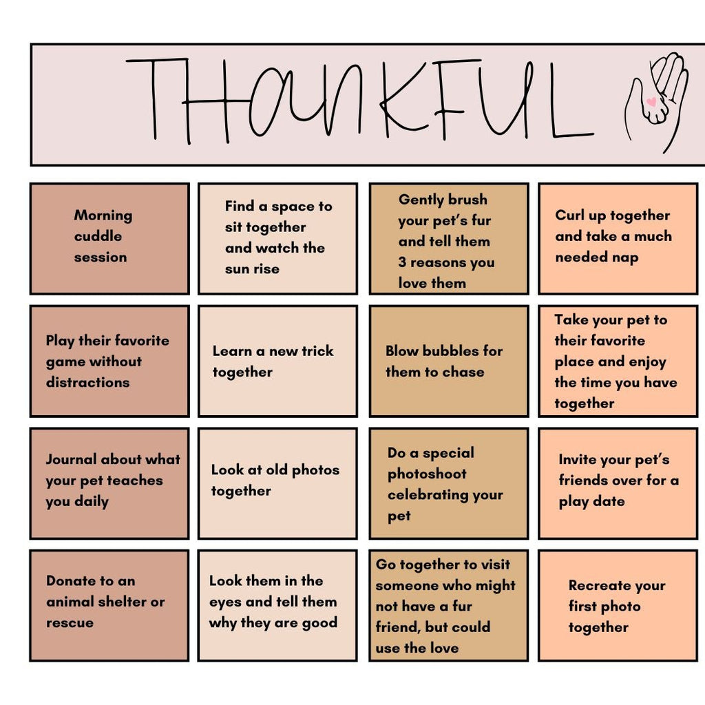 Thankful Paws - 28 Days to Deepen Your Bond With Your Best Friend (Download)